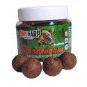 BloodWorm